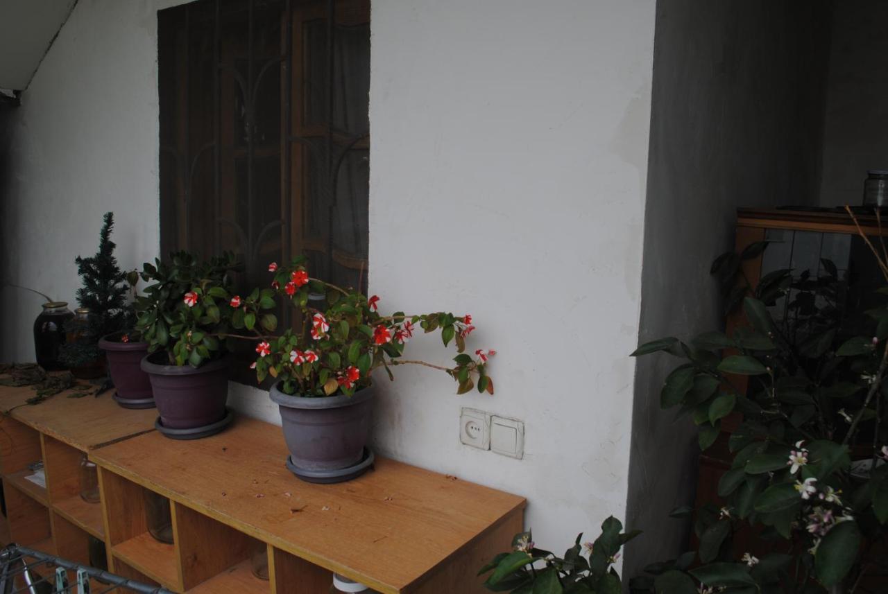 Family Guesthouse - Macharashvili Tbilisi Eksteriør billede
